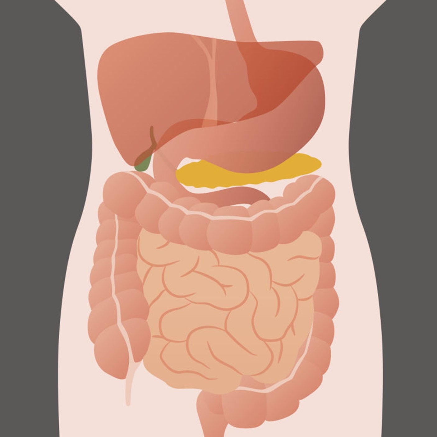 leaky-gut-syndrome-9-signs-you-might-have-it-jenna-longoria